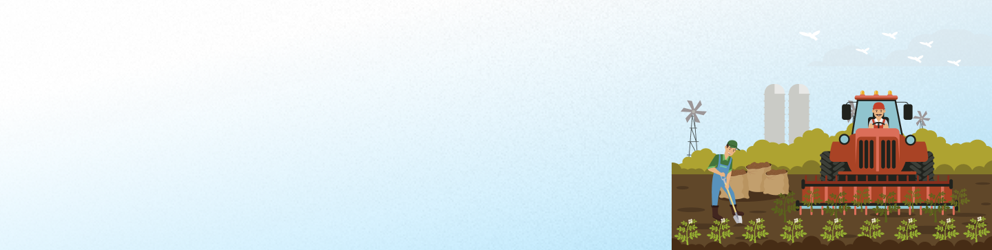banner-lch